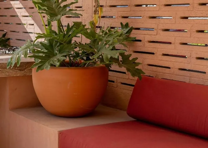 Design Loft In A Restored 1914 House | San Rafael * México DF